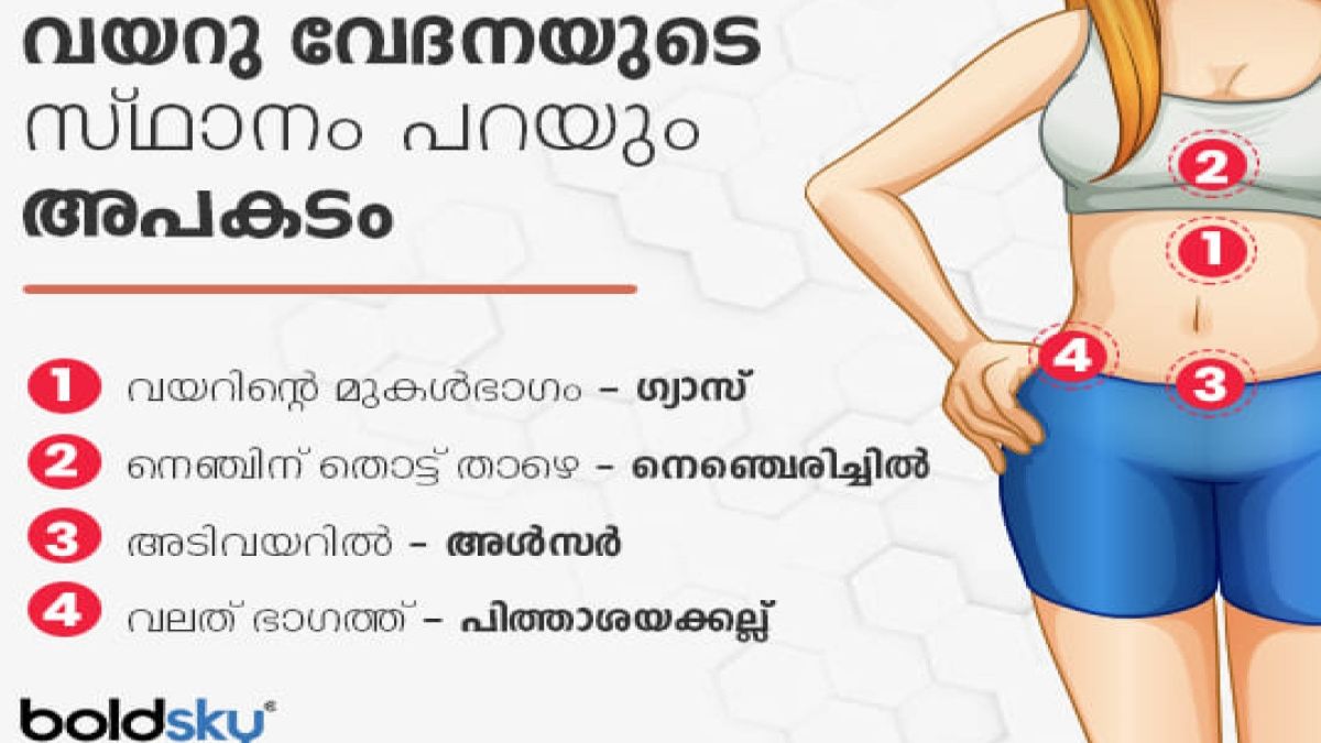 വയറുവേദനയുടെ സ്ഥാനം പറയുന്ന അപകടം: നിങ്ങള്‍ക്ക് ഏത് ഭാഗത്താണ് വേദന? |  Position Of Your Bellyache Reveals About Your Health In Malayalam -  Malayalam BoldSky