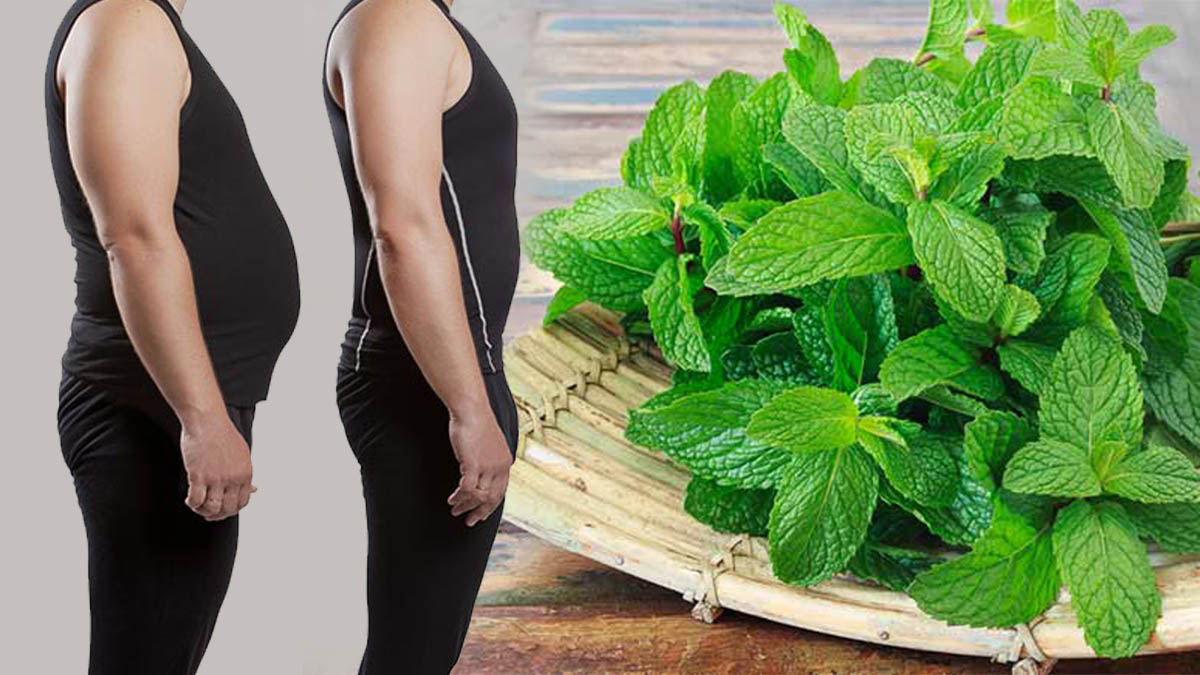 വയറും തടിയും ഉറപ്പായും കുറയും; ഈ ഇലയിലുണ്ട് പോഷകക്കൂട്ട്‌ Ways To Use