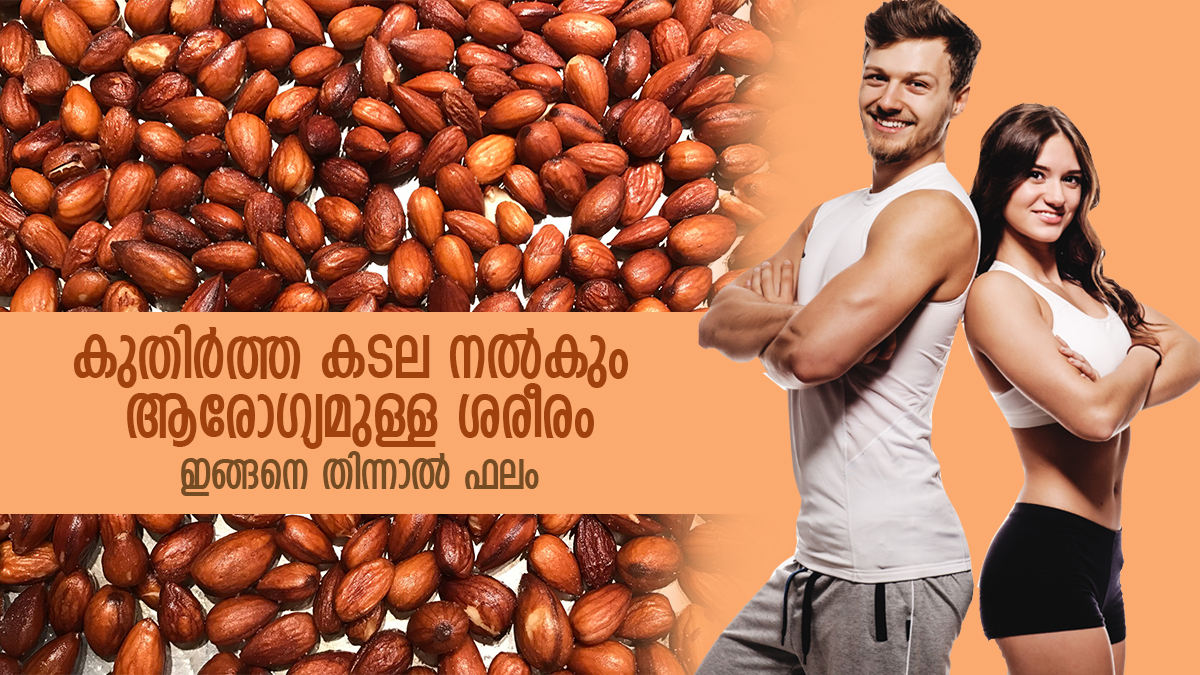 കൊളസ്‌ട്രോളില്ല കാന്‍സറില്ല, നിലക്കടല ഒരു കേമന്‍ Benefits of Soaked