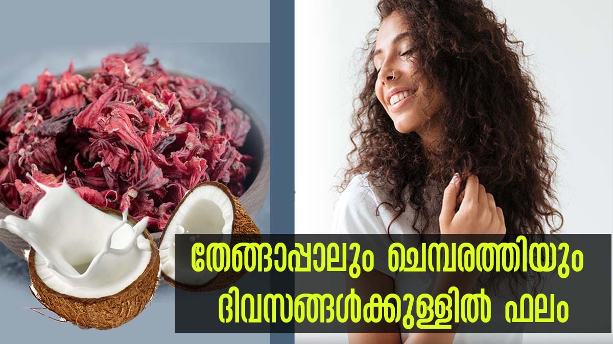 കണക്കുകൂട്ടുന്ന ദിവസത്തിനുള്ളില്‍ തന്നെ മുടി സൂപ്പറാക്കും തേങ്ങാപ്പാല്