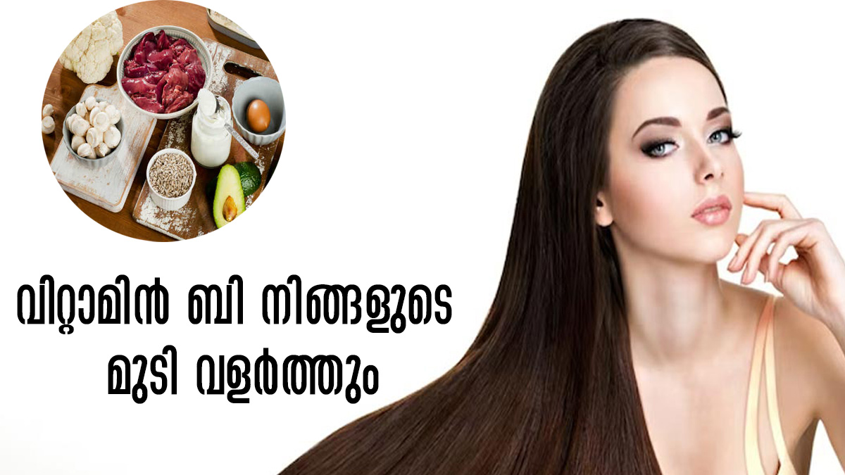 മുടി വളരാന്‍ എണ്ണ മാത്രമല്ല വിറ്റാമിന്‍ ബി കൂടെ ഭക്ഷണത്തില്‍ ചേര്‍ക്കാം Hair Care Tips