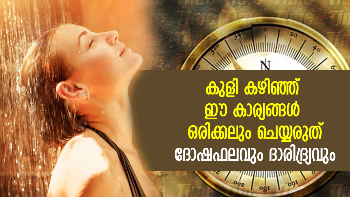 വാസ്തുപ്രകാരം ദോഷഫലം; കുളി കഴിഞ്ഞ് ഈ 10 കാര്യങ്ങള്‍ ഒരിക്കലും ചെയ്യരുത് Vastu Tips Things You