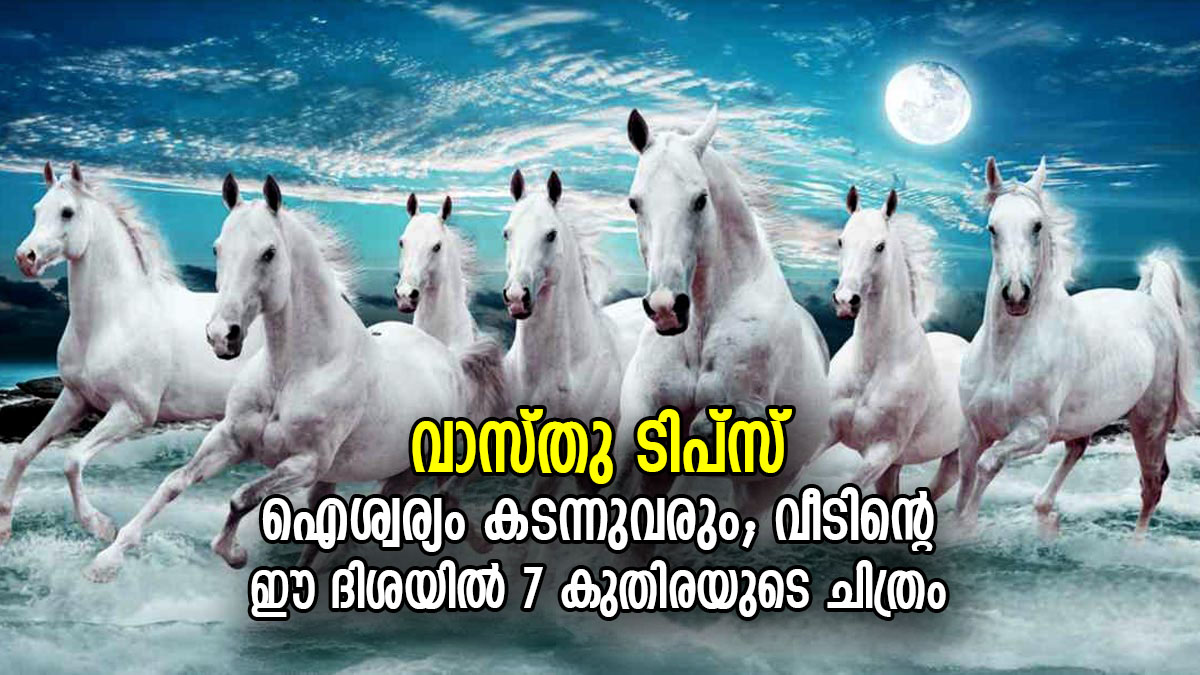 ജീവിതത്തില്‍ കുതിച്ച് മുന്നേറാനുള്ള ഊര്‍ജ്ജം; വാസ്തുപ്രകാരം ഉത്തമം 7