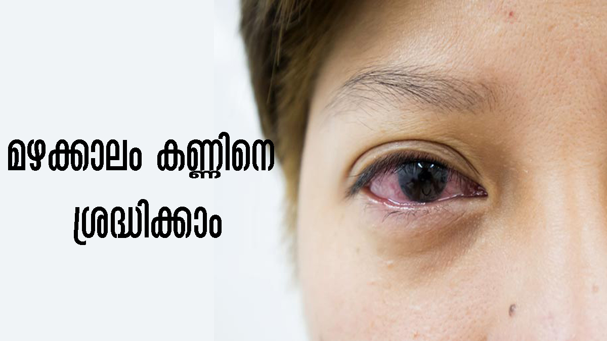മഴക്കാലം കണ്ണിനുണ്ടാവുന്ന അപകടങ്ങള്‍ നിസ്സാരമാക്കല്ലേ, അറിയേണ്ടത് Eye