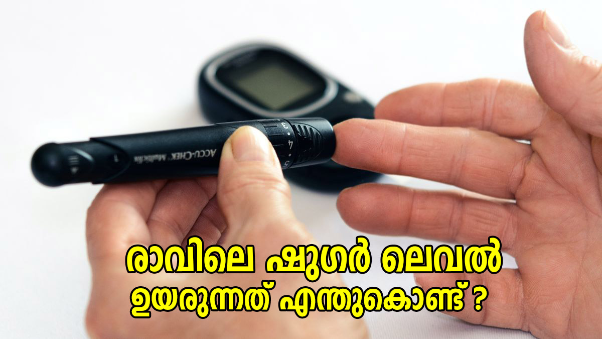 രാവിലെ ഷുഗര്‍ ലെവല്‍ പതിവായി കൂടുന്നത് ആശങ്കാജനകം; കാരണങ്ങളും