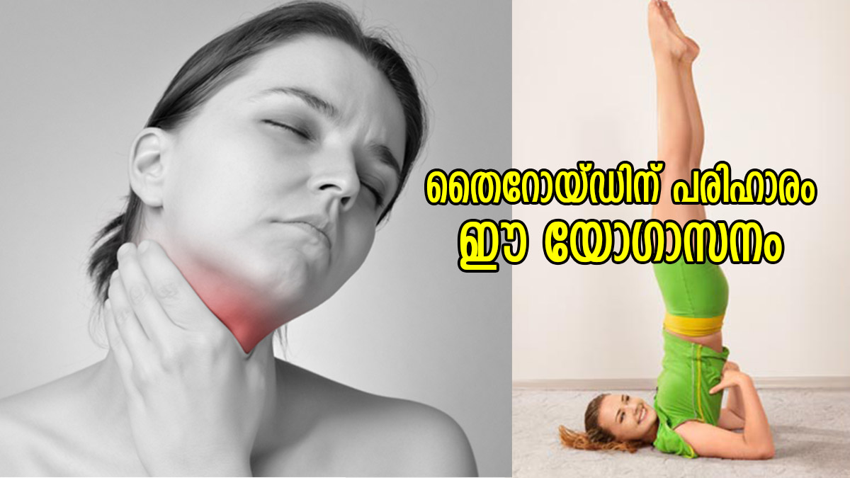 Yoga For Thyroid Yoga Poses That Can Improve The Health Of Your Thyroid In Malayalam