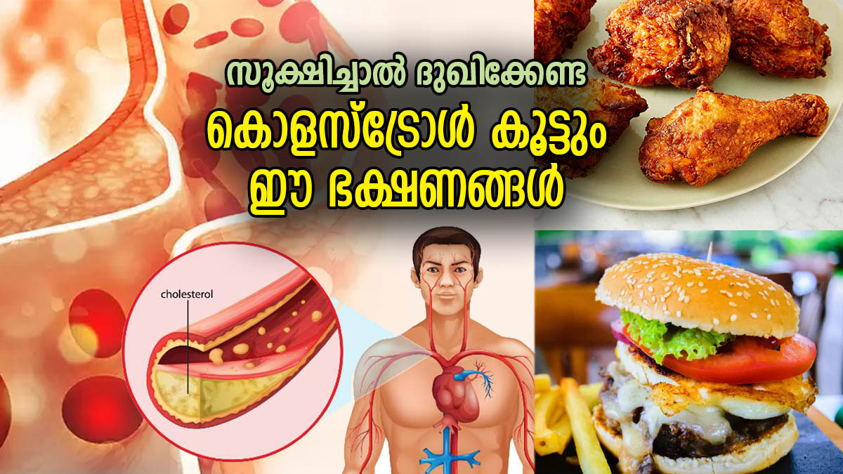 ആരോഗ്യം തകരാറിലാക്കുന്ന വില്ലന്‍, കൊളസ്‌ട്രോള്‍ ലെവല്‍ ഉയര്‍ത്തും ഈ