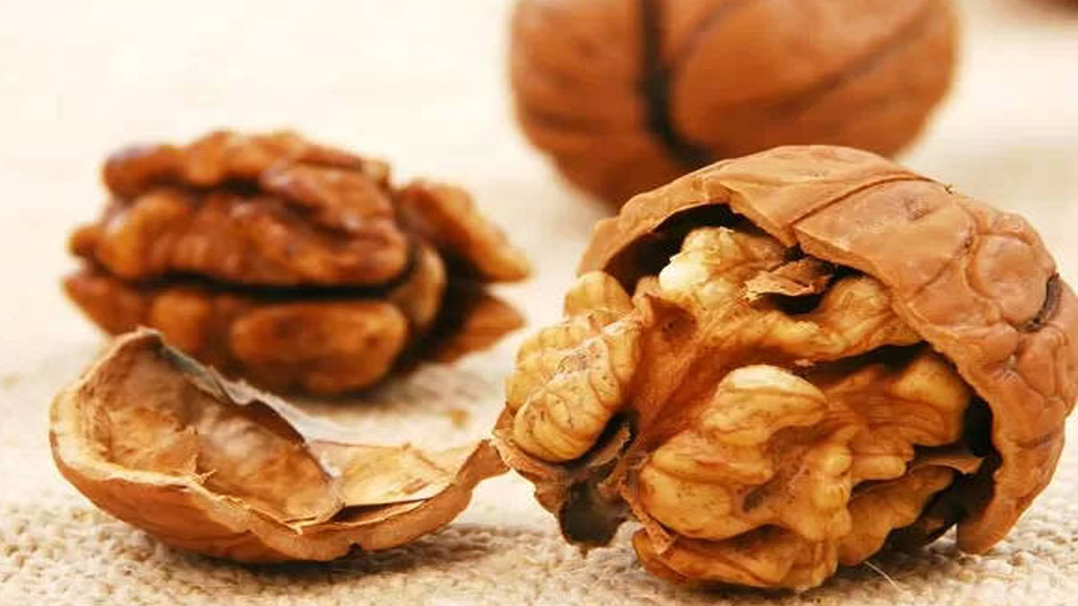 വാള്‍നട്ട് മില്‍ക്ക് ആരോഗ്യത്തിനും ആയുസ്സിനും Health Benefits Of