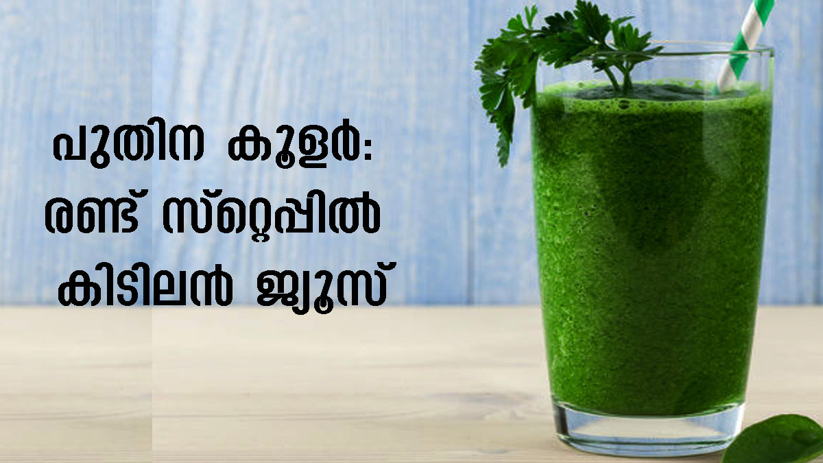 Pudina Cooler വേനലില്‍ ഉള്ള് തണുപ്പിക്കും സമ്മര്‍ ഡ്രിങ്ക്, പുതിന കൂളര്‍ 2 മിനിറ്റില്‍ Pudina