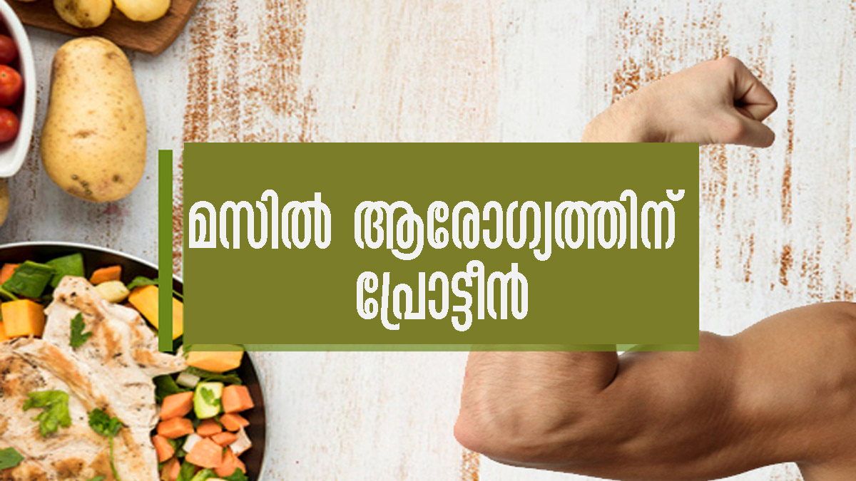 മസില്‍ പെരുപ്പിക്കാന്‍ മുട്ടയേക്കാള്‍ മികച്ച പ്രോട്ടീന്‍ ഭക്ഷണങ്ങള്