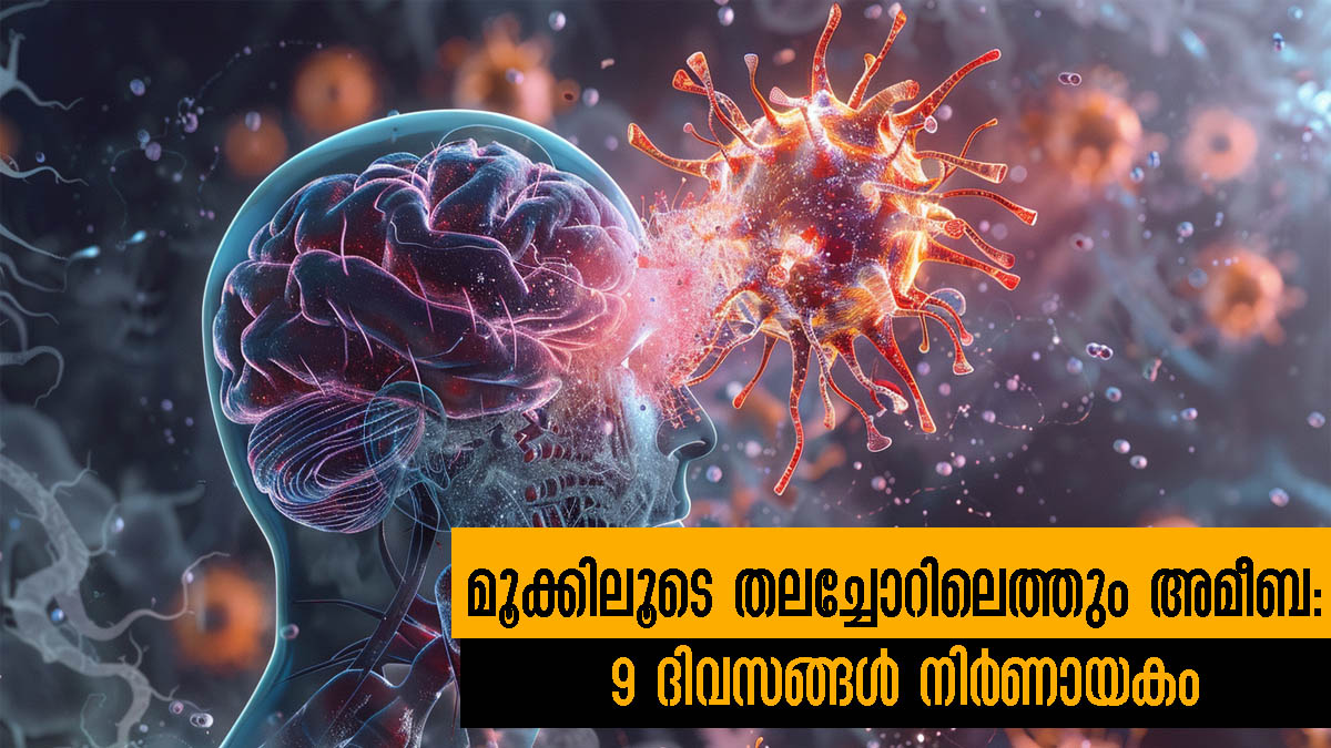 Amoebic Meningitis Symptoms Treatment And Prevention In Malayalam Details Inside