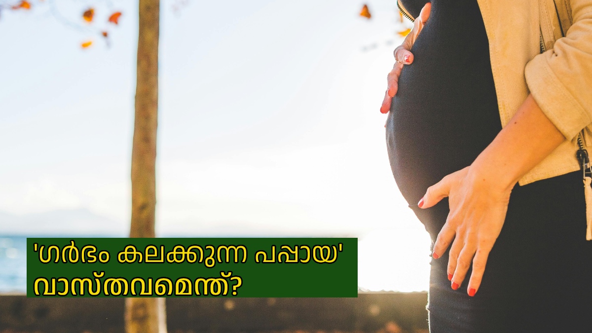 ഗര്‍ഭം കലക്കുന്ന പപ്പായ? ഗര്‍ഭിണികള്‍ പപ്പായ കഴിക്കുരുത് എന്ന്