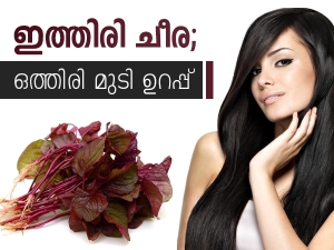 Hair Care Tips In Malayalam Women Hair Care Tips In Malayalam